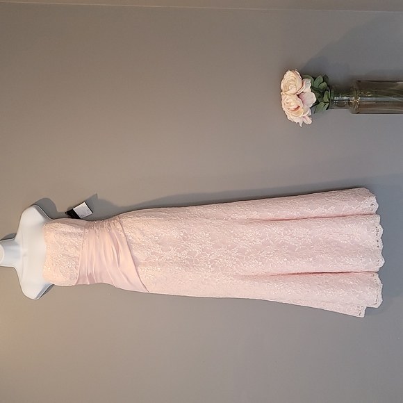 NWT Caterina Collection Pink Lace Jordan Formal Gown Size 8 - Picture 1 of 6
